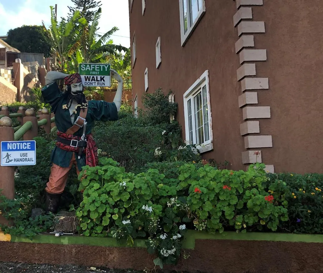 Apartment Ferienwohnung Pirate Palms Escape Kingston